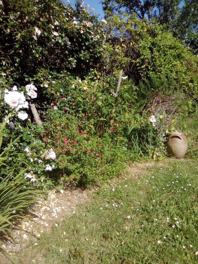Holiday home Les Volets Bleus *